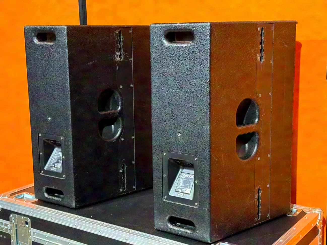 TW AUDIO T24P Lautsprecher