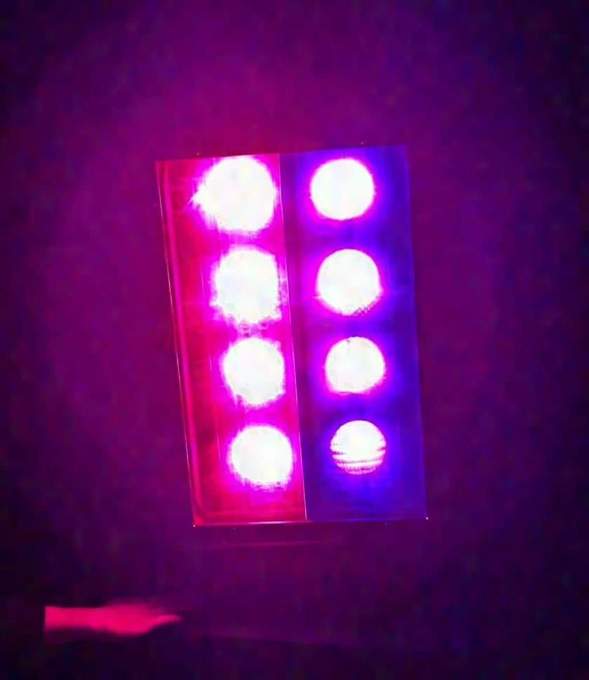 Thomas 8-Lite Blinder