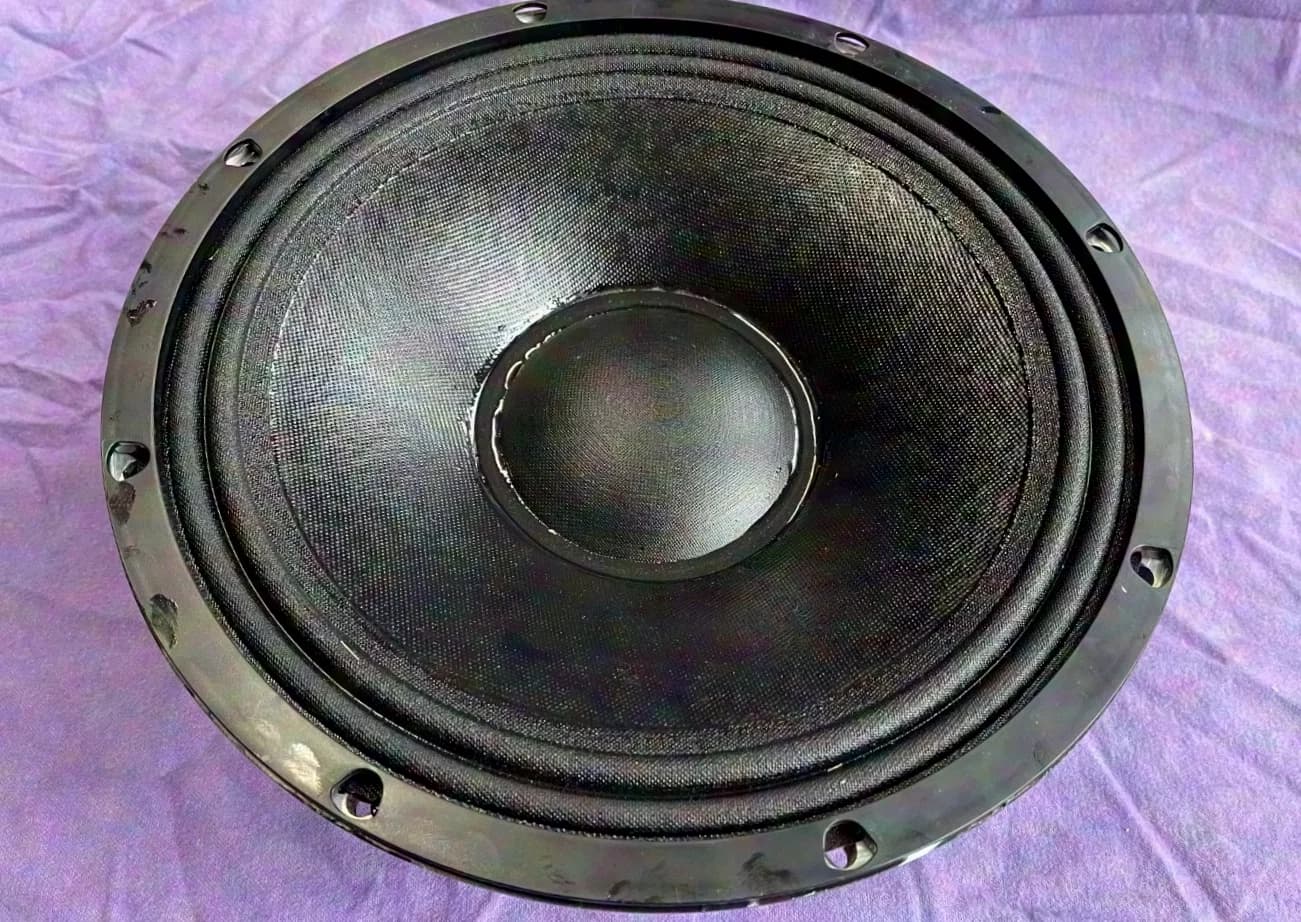 Reparatur / Reconing Eighteensound 12MB1000, 18Sound 12 MB 1000